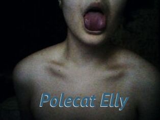 Polecat_Elly
