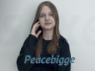 Peacebigge