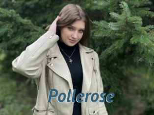 Pollerose