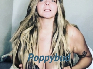 Poppybud