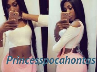 Princesspocahontas