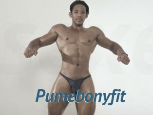 Pumebonyfit