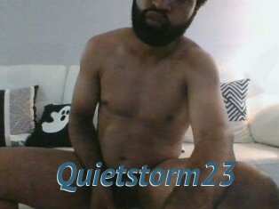 Quietstorm23
