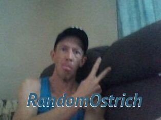 RandomOstrich