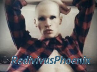 RedivivusPhoenix