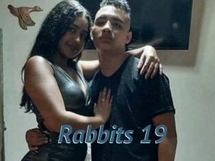 Rabbits_19