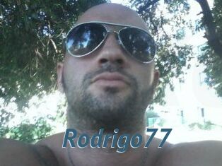 Rodrigo77