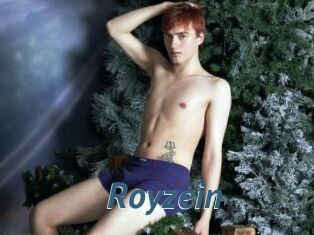 Royzein