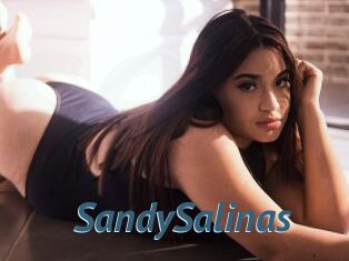 SandySalinas