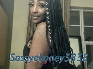 Sassyeboney3838