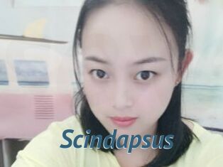 Scindapsus