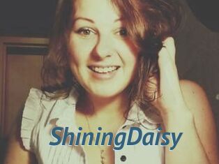 ShiningDaisy