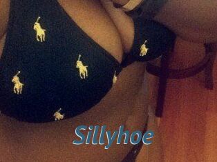 Sillyhoe