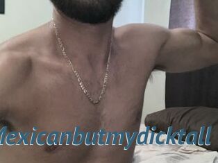 SkinnyMexicanbutmydicktall