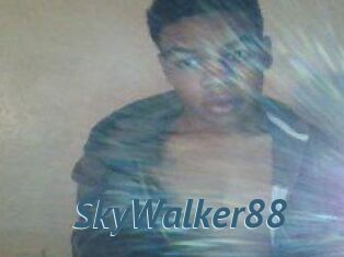 SkyWalker88