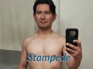 Stampede