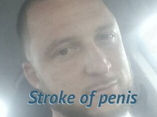Stroke_of_penis