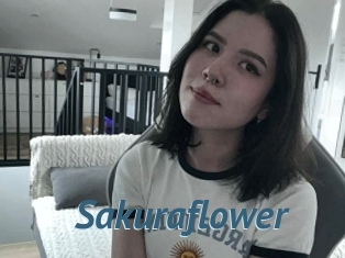Sakuraflower
