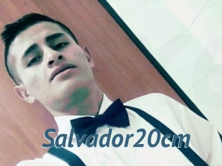 Salvador20cm