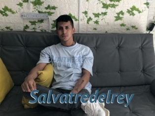 Salvatredelrey