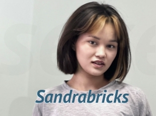 Sandrabricks