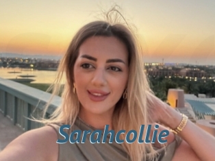 Sarahcollie