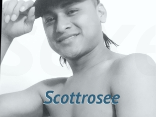 Scottrosee
