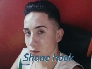 Shane_hook