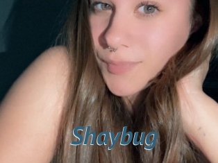 Shaybug