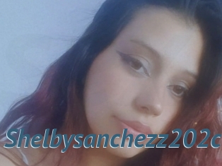 Shelbysanchezz202cl