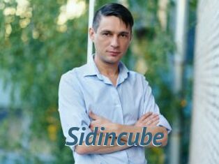 Sid_incube