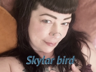 Skylar_bird