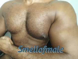 Smellofmale