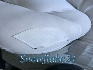 Snowflake21