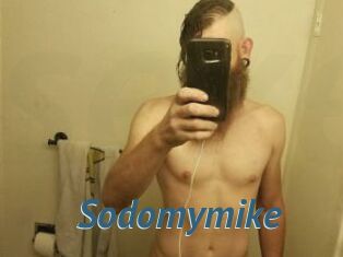 Sodomymike