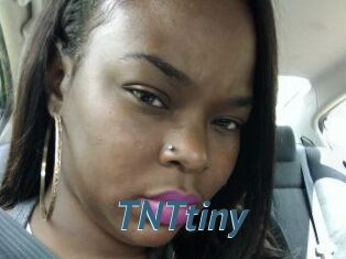 T_N_Ttiny
