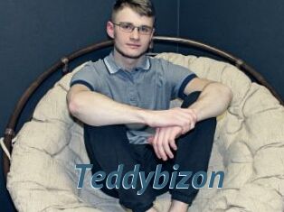 Teddybizon