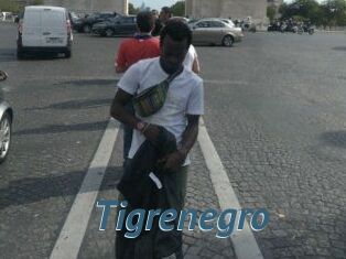 Tigrenegro