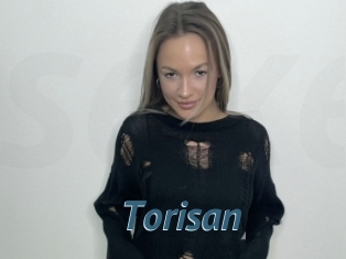 Torisan