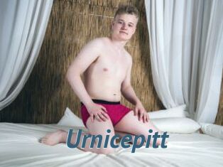 Urnicepitt