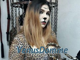 VenusDomme
