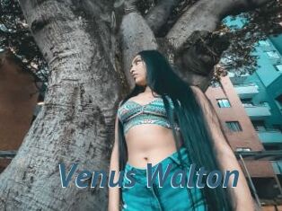 Venus_Walton