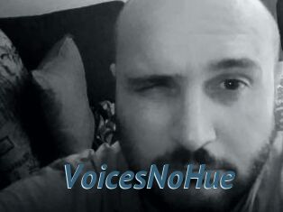 VoicesNoHue
