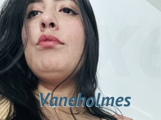 Vaneholmes