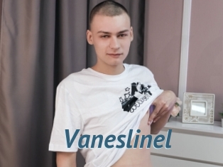 Vaneslinel