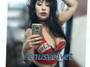 Venusvelvet