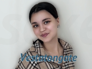 Vestatongate