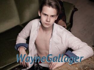 WayneGallager