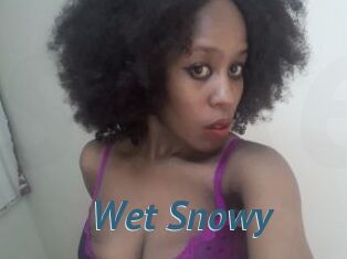Wet_Snowy