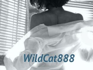WildCat888